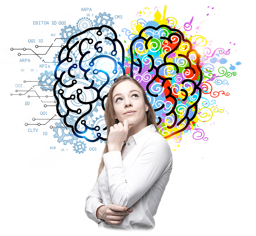 Intersection of analytic and creative hemispheres of a brain.